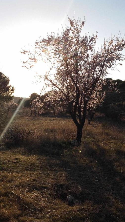 Casa Rural Con Jacuzzi La Parrilla  Exteriér fotografie